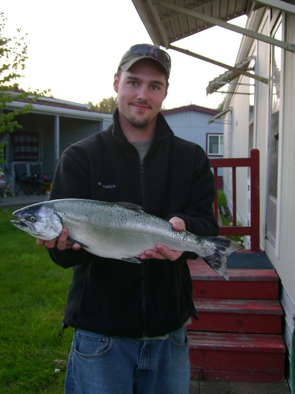 Spring Chinook