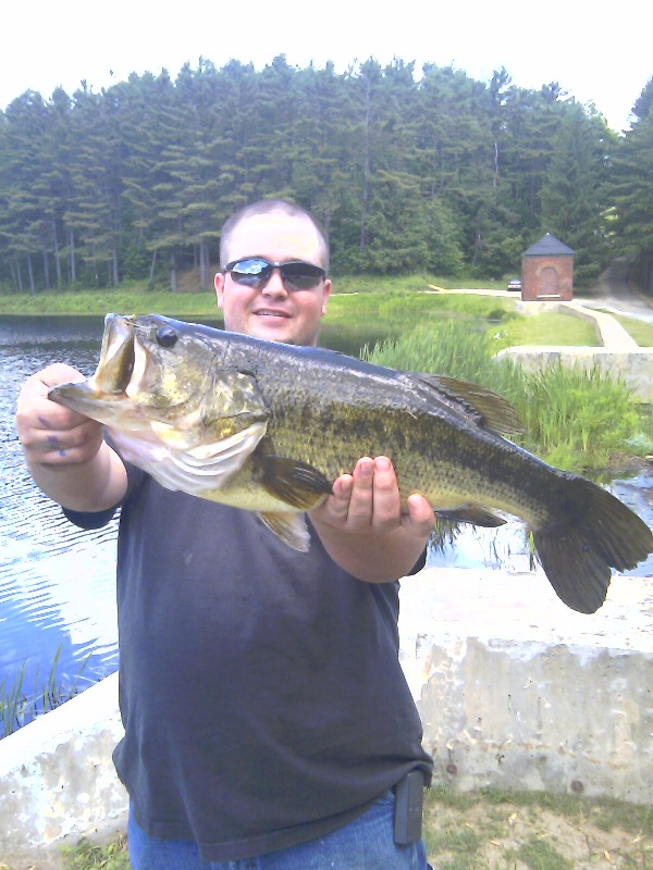 big bass on lunch