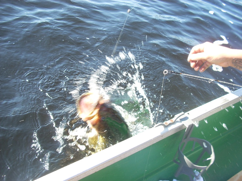 laura bringing in her 5lb bass