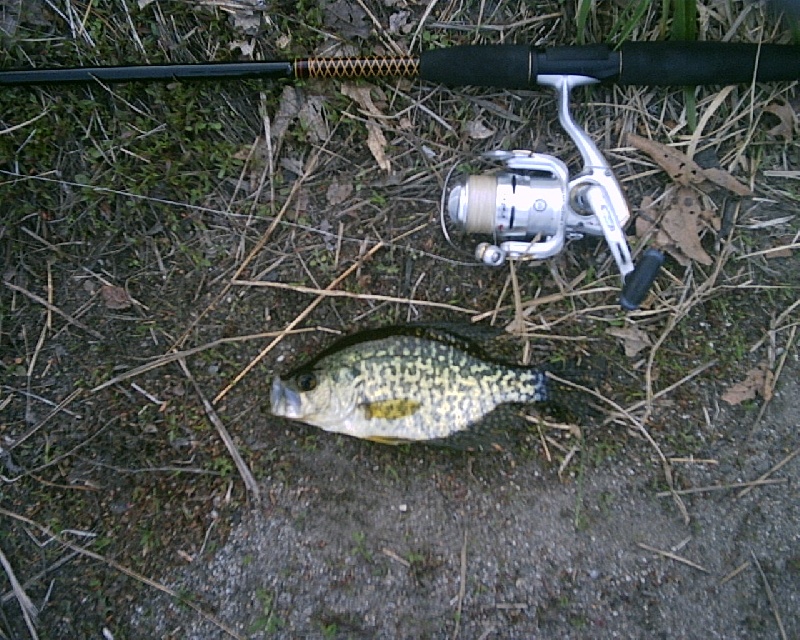 5-8-08 - Lake Maspenock - 9th of 12 fish